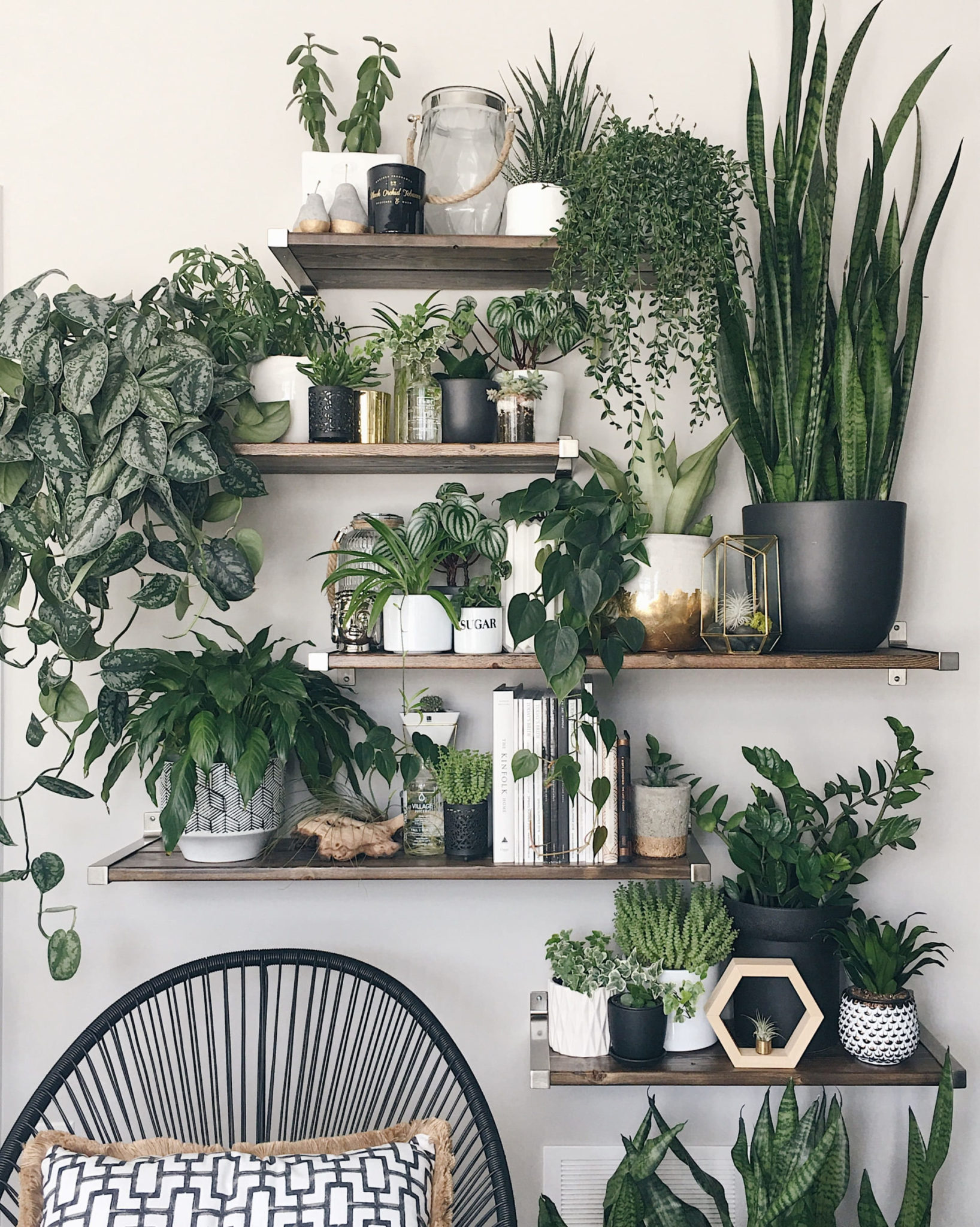 Ideas Para Hacer Estantes O Repisas Para Plantas Arkihome