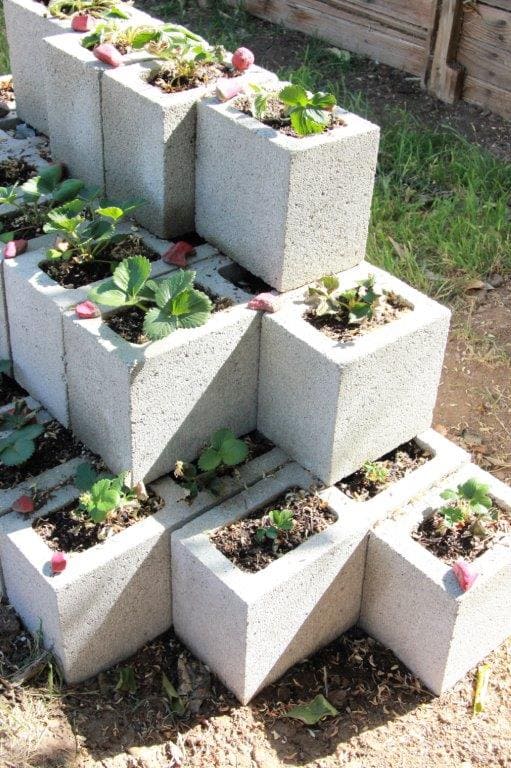 Cambio cantidad político 25 ideas de decoración con bloques de concreto - Arkihome